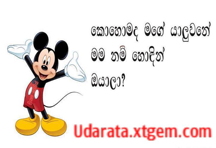 408648 145684715577022 1097326877 n e1
